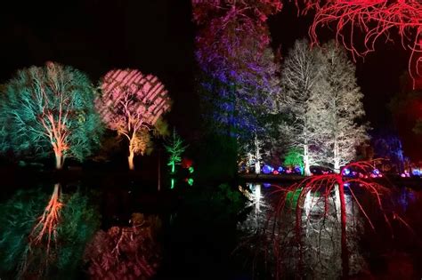 Emergency closure of RHS Wisley sees Glow event …