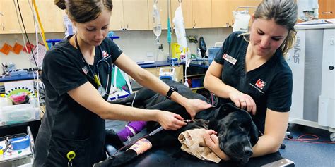 This page is used to share wait times for Emergency Veterinarians in Washington. ER Vets of Western Washington. 12,476 likes · 58 talking about this. ER Vets of Western Washington. 