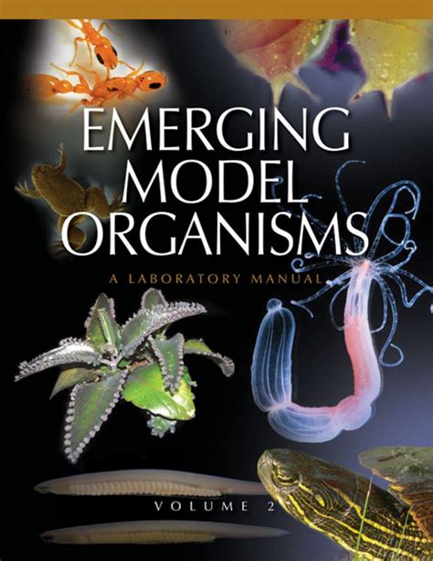 Emerging model organisms a laboratory manual volume 2. - Yamaha 8hp service manual outboard 2 stroke.