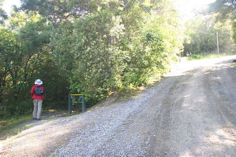 🍆 PORN Emily Falls Leaks