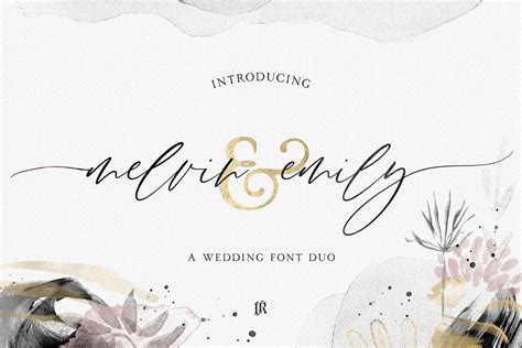 Emily Stunning Script Fonts Creative Market