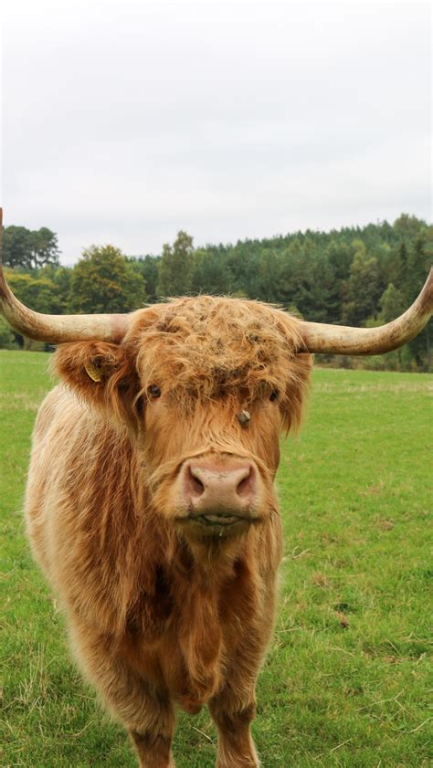 Emilyflexibilitygirl Onlyfans Leaked [SEX VIDEO] 🍆