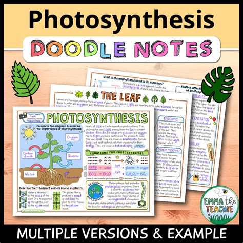  These doodle notes are a wonderful way to review enzymes and make a great test prep activity or homework assignment. There are multiple versions for easy differentiation. Use the scaffolded fill-in-the-blanks version to support students or the open response version to increase challenge. . 
