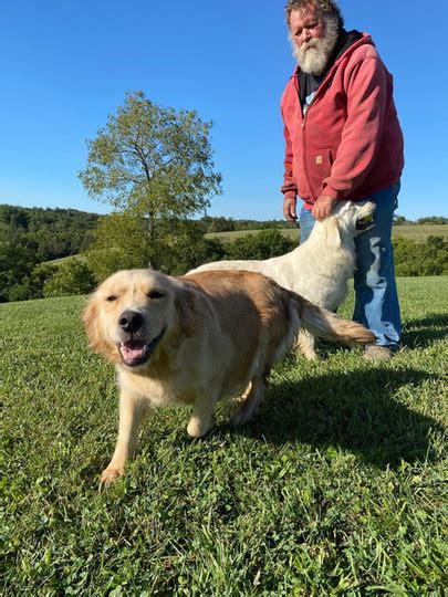 Emmons family goldens. About the Breeder. Family breeder of multiple generations of Golden Retrievers & Standard Poodles in Northern Kentucky. Emmons Family Goldens is home to the most loving, gorgeous dogs.... 