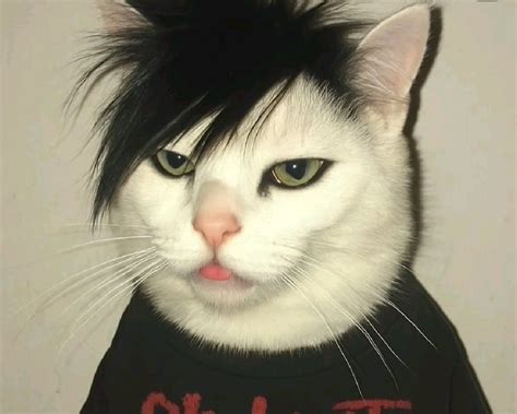 Emo Kitten Onlyfans Leak