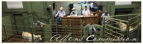 1101 S Hwy 19 PO Box 522 Emory, Texas 75440 Phone: (903) 473-3781 Email Emory Livestock Auction, Inc. Visit Website