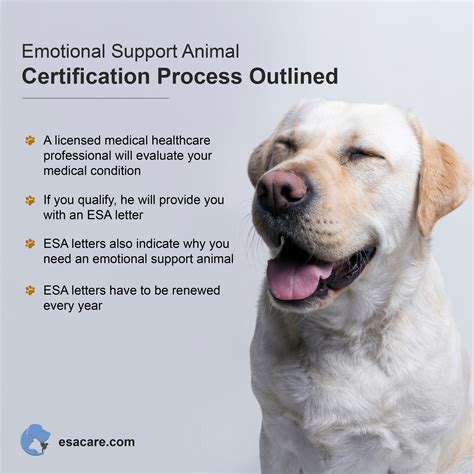 Through our new Service and Emotional Support Animals product, DoNotPay can help you with all of your ESA-related concerns, including contacting your landlord about your ESA, asking airlines about their accommodation options, and finding the most affordable online ESA-letter service. Just follow these steps.. 