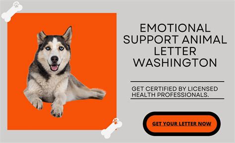 Emotional support animal washington state. ... emotional support animal that will assist [FIRST NAME] in coping with his ... emotional support animal. Should you have additional question, please do not ... 