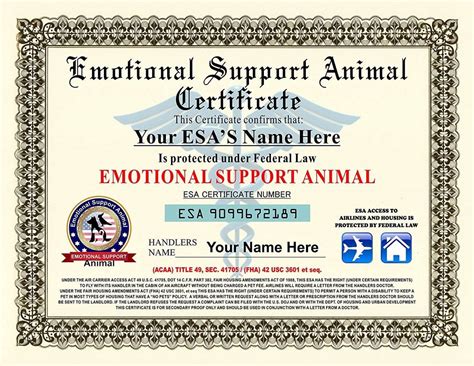 Emotional support certificate. An emotional support animal form requires identifying information about the ESA owner, including name, address, phone number, email, and date of birth. It also requires information about the animal itself, such as the type of animal, breed, age, vaccination status, and more. Photos of the animal may also need to be included. 