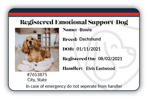 Emotional support dog license. Emotional support dogs (ESAs) are not service dogs. Mental health professionals can write a prescription for an emotional support animal under the law to be utilized by someone with a disability or mental health condition. Airlines are no longer required to accommodate emotional support animals in the cabin, but … 