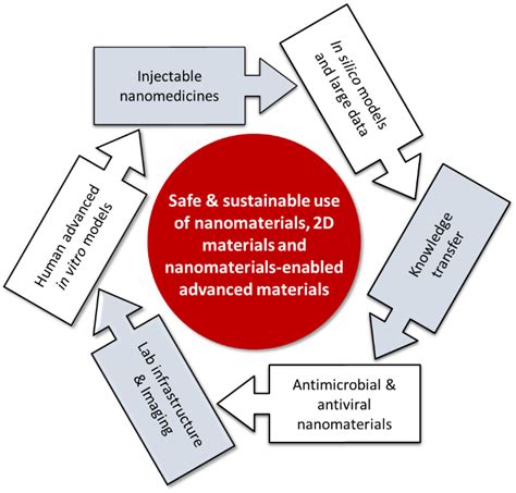 Empa - Particles-Biology Interactions - Nanointercell