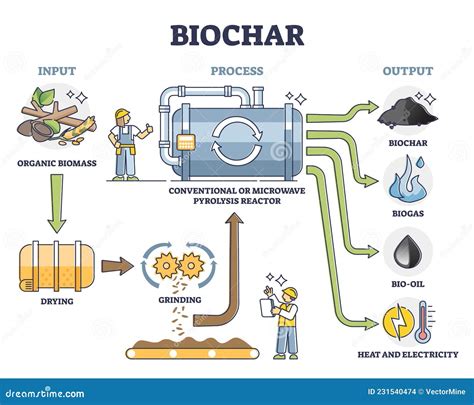 Employment of biogas as pyrolysis medium and chemical feedstock