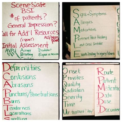 Emt B Quick Study Guide