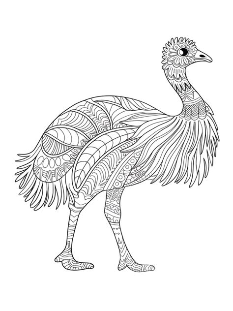 Emu Coloring Page