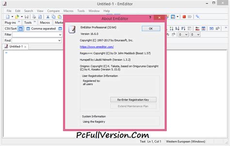 Emurasoft EmEditor Professional Crack 19.8.6 With Keygen 