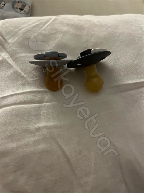 codini.rgarabwor.edu.pl. 