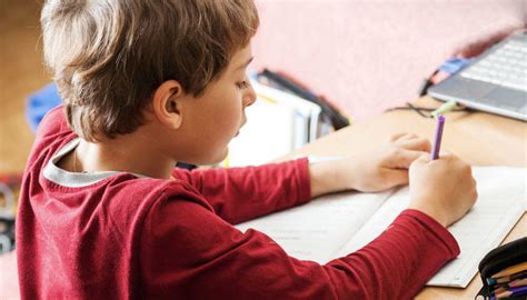 En İyi 40 Avcılar Online İlkokul Özel Ders Öğretmeni Armut.