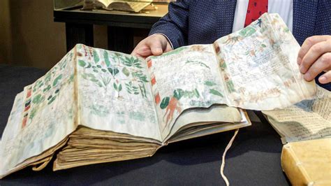 En babia, el manuscrito de un braquicéfalo. - New holland 2300 hay header owners manual.