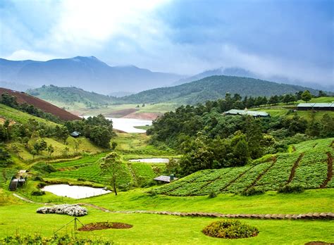 Enchanting Ooty & Kodaikanal Tour Package for 3 Nights …