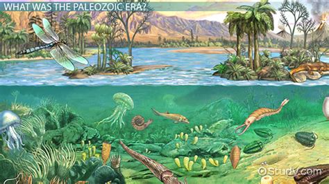 Figure 3.13: The Permian/Triassic extinction happened about 250 million years ago, marking the end of the Paleozoic and the beginning of the Mesozoic. USGS. Approximately 250 million years ago, the biggest extinction event in the history of the Earth (in terms of the number of species that disappeared) took place at the end of the Permian period.. 