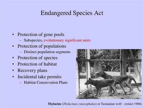 Endangered species act ppt.  GOALS: Prevent species extinctions Increase numbe...