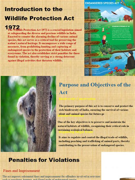 Endangered species concept slideshare.  This difficulty leads to phenomena ...