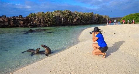 Endemic Catamaran, Itinerary A - Galapagos Vacation