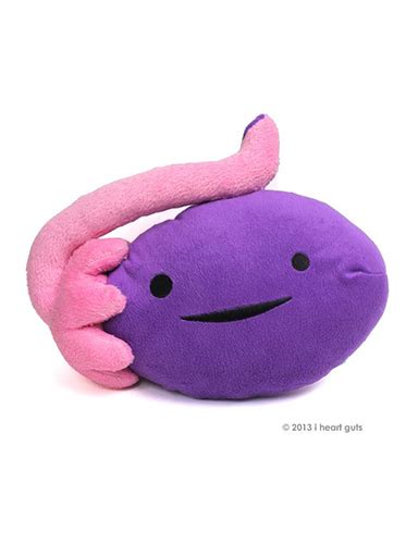 Endocrine Society on Twitter: "When you secure yourself a gland plushie …