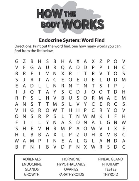 Endocrine System Word Search Printable Calendars AT A GLANCE