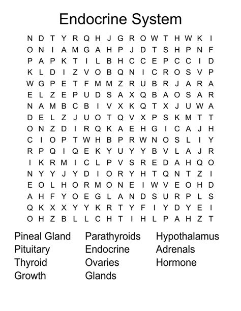 Endocrine System Word Search WordMint