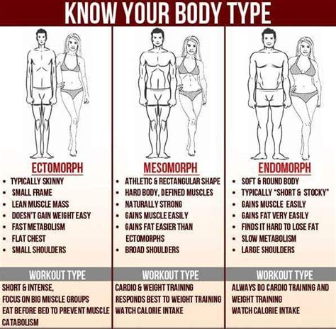 Endomorph Ectomorph or Mesomorph How to exercise for your body type Tom s Guide