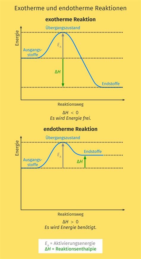 Endotherme processen