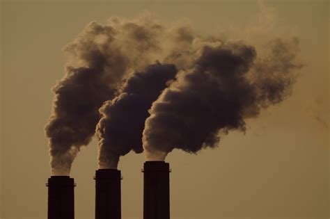 Energy Department announces largest-ever investment in ‘carbon removal’