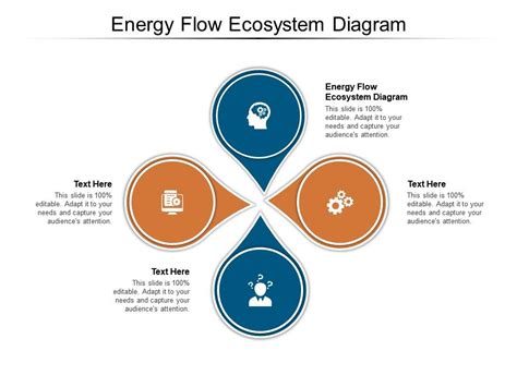 Energy Flow In Ecosystem Ppt