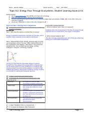 Energy Flow Through The Ecosystem Study Guide Answers Study Poster