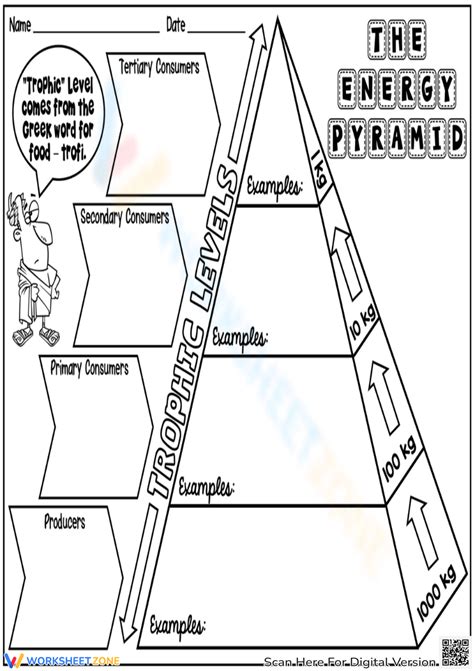 Energy Pyramid Practice Worksheet Cdn Answers Kidsworksheetfun