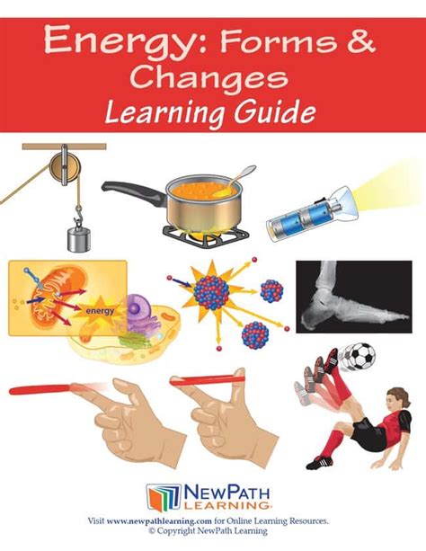 Energy forms changes science learning guide by newpath learning. - Daewoo doosan dl08 diesel engine service repair shop manual.