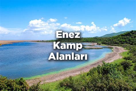Enez kamp.