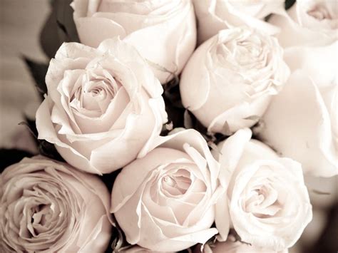 Enfield patch obituaries.  Updated weekly.  The local authority is Enfield Lon...