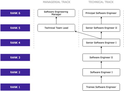 Engineering Student Ladder