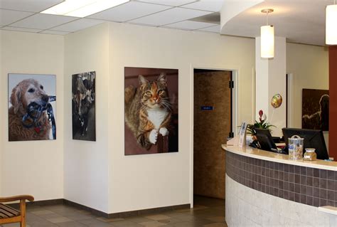 Englewood animal hospital. Things To Know About Englewood animal hospital. 