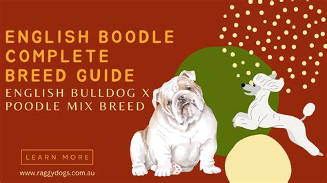 English Dogs A Blog Edition