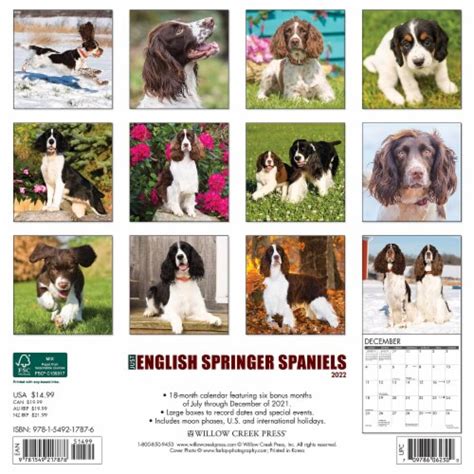 English Springer Spaniel Calendar 2022