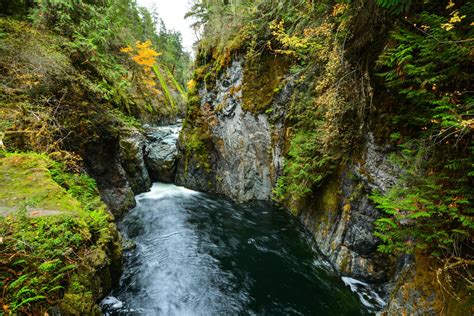 Englishman River Falls Park BC Parks