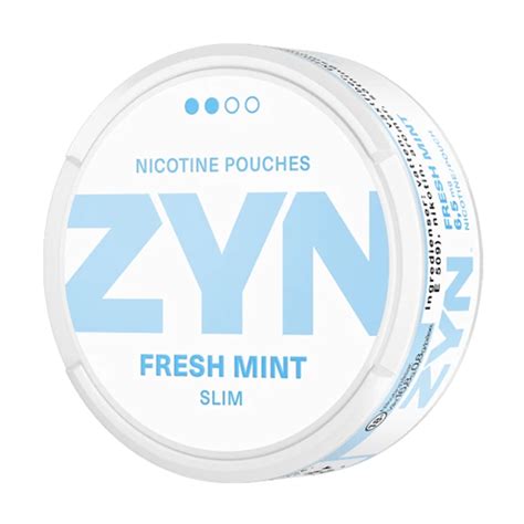 Enhance Your Oral Hygiene and Freshness with Mint Pouches No Nicotine