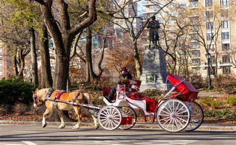 Enjoy free carriage rides at the Empire State Plaza
