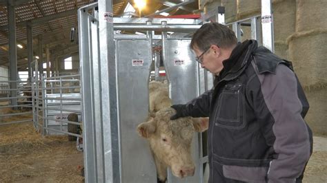 Enquête sur la compétitivité des industries canadiennes de l'élevage des bovins et de la transformation du boeuf. - Ford s max navigation system manual.