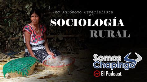 Enseñanza e investigación en sociología rural en américa latina. - Responsabilidad civil en materia de accidentes de automotores.
