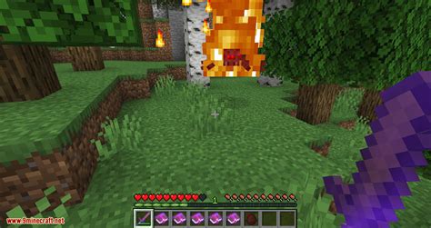 Ensorcellation Mod (1.19.2, 1.18.2) – New & Exciting …