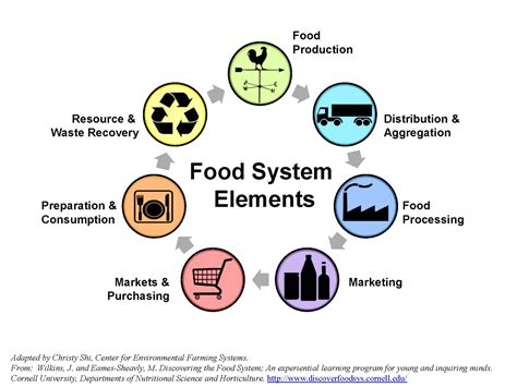 Ensuring the Integrity of the European food chain